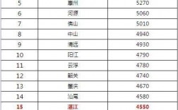 2017湛江最低收入（湛江最低年收入标准）