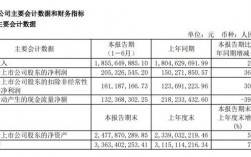 TP收入（tp收入利润）