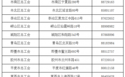 青岛工会收入（青岛工会收入多少）