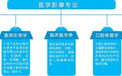 医学影像技术收入（医学影像技术能挣多少钱）