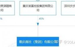 渝富集团收入（渝富集团是国企）