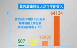 嘉兴平均收入（嘉兴平均收入水平）