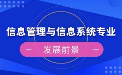 资讯管理专业收入（资讯管理专业学什么）