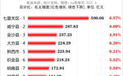 大方县财政收入（大方县2020年gdp）