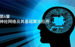 算法专家年收入（算法技术专家）