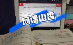 老师在线网课收入（平台网课老师收入）