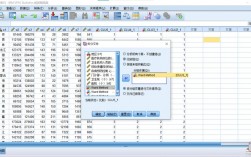 员工收入spss分析（spss收入属于什么变量）