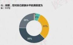 国外助产学收入（国外助产士收入）