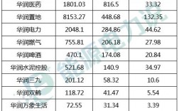 华润集团南京公司收入（华润集团南京公司收入怎么样）