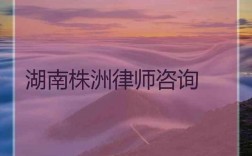 株洲律师收入（株洲律师工资）