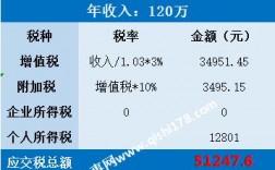 企业个人收入纳税（企业个人收入纳税多少）