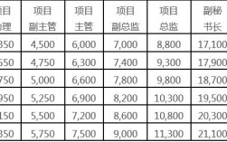 项目总监收入（工程项目总监工资）