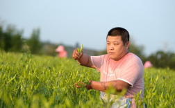 2015潼关农民纯收入（2015潼关农民纯收入多少钱）