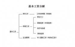 工资收入的（工资收入的概念）