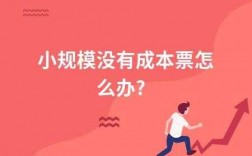 无票收入无票成本吗（无票收入怎么做成本）