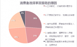 家政公司收入管理（家政公司收入管理方案）