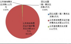 西昌财政收入2017（西昌市一般预算收入）