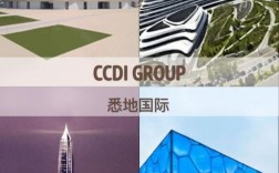 ccdi收入（ccdi group）