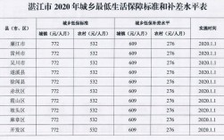 湛江低收入（湛江市低保户家庭收入最低是多少）