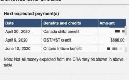 cra收入（cra收入怎么样）