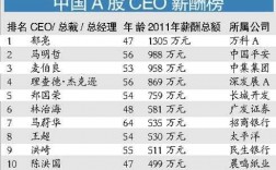 普通ceo公司收入（ceo基本工资）