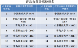 青岛收入高的大学（青岛收入高的大学名单）