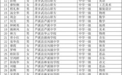 萍乡学院教师收入（萍乡学院师资力量怎样）