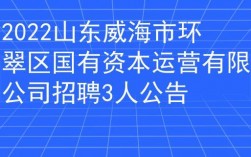 威海高收入招聘（山东威海招聘高薪资是传销吗）