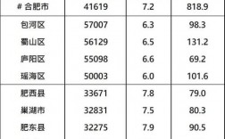 合肥总收入是多少（合肥收入分布）