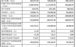 药代大区经理收入（药品销售大区经理收入）