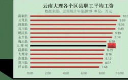 大理人收入（2020年大理州人均年收入）