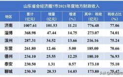 山东德州年均收入（德州平均年收入）