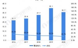 中药控股收入（中药控股收入排名）