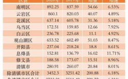 贵阳政府收入2017（贵阳市2019年财政收入是多少）