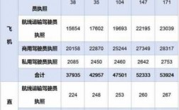 四川航空飞行员年收入（四川航空飞行员年收入2023年）