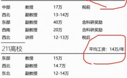 大学教授年收入（大学教授年收入有100万吗）