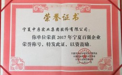 宁夏中房集团收入（宁夏中房集团收入多少）