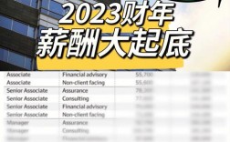 普华永道平均收入（普华永道2020年收入）