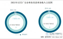 广安收入水平（广安平均收入）