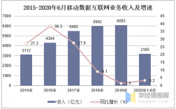 网络运营收入前景（网络运营收入前景分析）