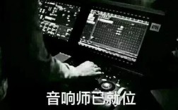 调音师的收入有多少（调音师真的年入百万吗）