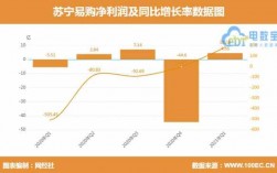 苏宁易购收入（苏宁易购收入来源都有哪些方面）