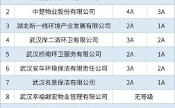 2017年武汉保洁收入（2017年武汉保洁收入如何）