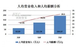 分析企业人均收入（企业人均收入怎么算）