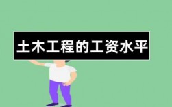 土木老师收入（土木工程专业老师工资）