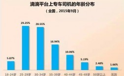 专车司机收入2017（专车司机收入比快车高吗）