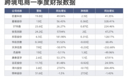 东莞跨境电商收入（东莞跨境电商收入排名）