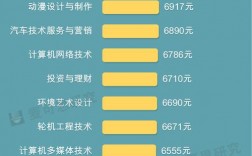 软件技术专业收入（软件技术工资一般多少专科）