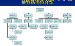 药品KA经理的收入（医药ka经理必须具备的能力）