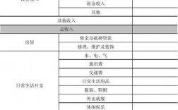 收入规划师（收入规划怎么写）